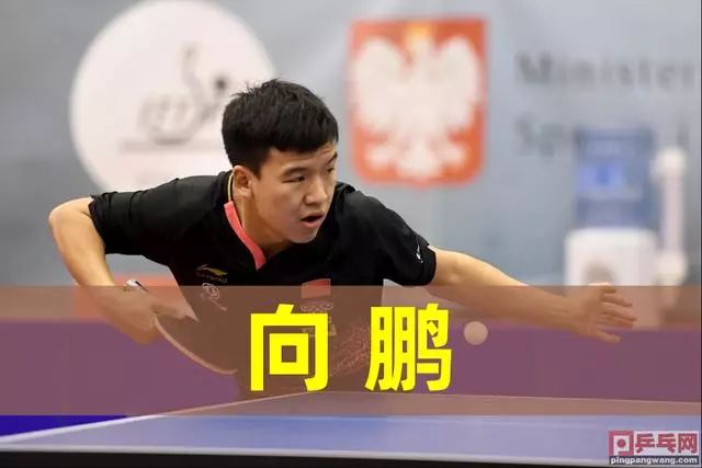 原因所在 原因所在