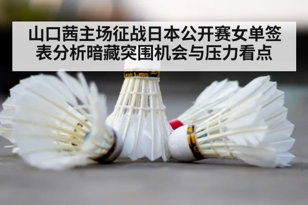 badminton court shuttlecock
